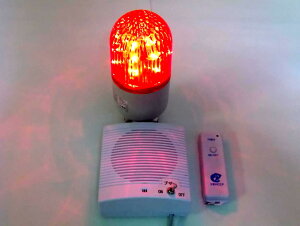 yɂɂ̓Rŉ]_ŎCgiuU[tj1ԁApi