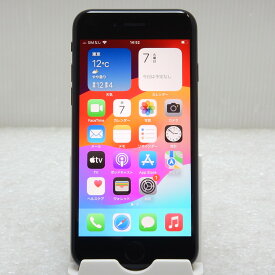 【中古 Bランク】Apple iPhone SE (第2世代) ブラック 64GB MHGP3J/A SIMロックなし iOS18.2 スマートフォン SIMフリー iPhoneSE2
