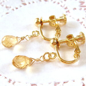 Ύ Vg CO11 a fB[X S[h (CAO ɂȂ Ԃ h ANZT[ a ޏ  fB[X ̎q Mtg 킢 NX}X v[g