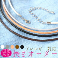 チョーカー 革ひも だけ レディース 黒 ネックレス 金属アレルギー対応 レザー【1連 シルバー】サージカ…