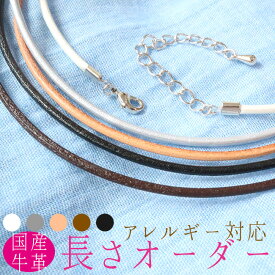 チョーカー 革ひも だけ レディース 黒 ネックレス 金属アレルギー対応 レザー【1連 シルバー】サージカルステンレス316 ペット 犬 キッズ 子供 国産 牛革 日本製 革紐だけ 黒 2mm 本革 女性 ギフト 可愛い パールホワイト パールシルバー 白 茶 男女兼用 華奢
