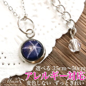 X^[Tt@CA lbNX AM[Ή Iׂ 35cm 50cm ×p T[WJXeX316 (SUS) Vo[ y_g VR ANZT[ ޏ fB[X Mtg 킢 ؚ 