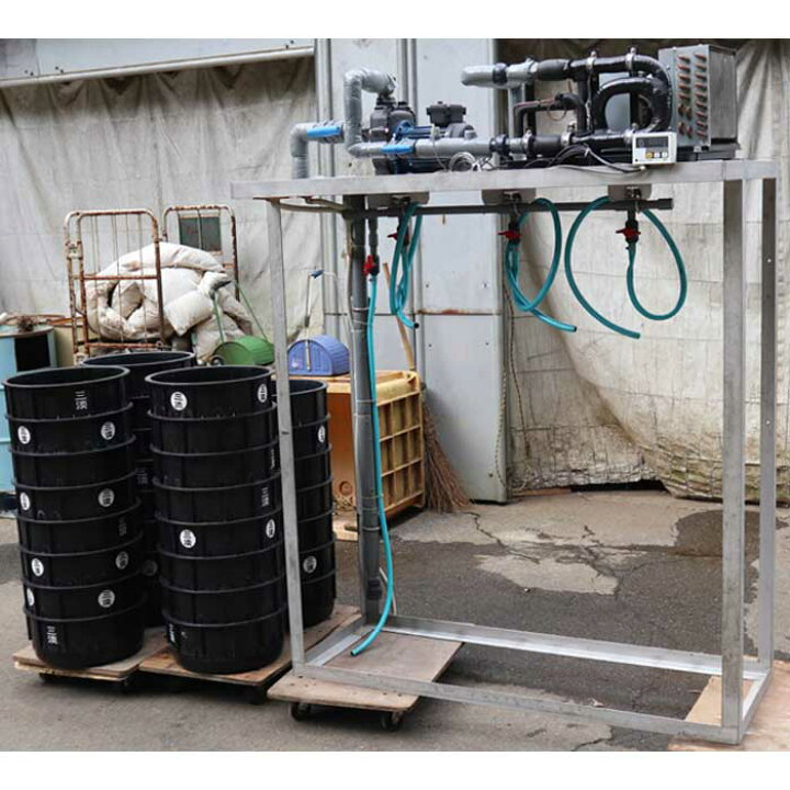 楽天市場】【引取限定】ろ過水槽立場用架台 うなぎ 桶付属 × 31個 中古 