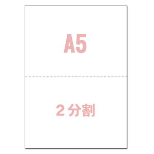y~VڗpzA5TCY 2 100 X[p[zCg }CN~Vړp YO-024