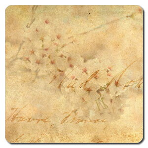 yNbN|Xgz gїp }bg TCY100 x 100mm@2mm@NMN-141