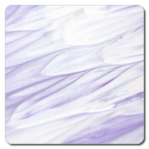 yNbN|Xgz gїp }bg TCY100 x 100mm@2mm@NMN-202