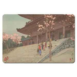 yNbN|XgzG }bg UNM-6001 gc -  