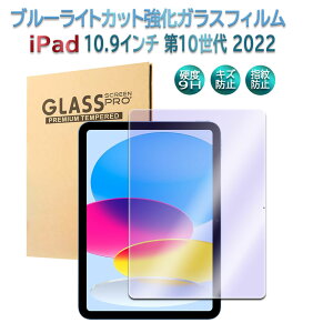 ACpbhiPad 10.9C` 10 2022 iPadiA16j2025 u[CgJbgKX tیtB KXtB ώw  \ʍdx 9H ƊEŔ0.3mm̃KX̗p 2.5D EhG