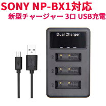 楽天市場】rx1 バッテリーの通販