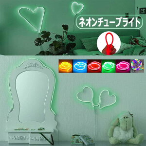 yz lICg1M USB/dr@lITC LEDlI ͋CLEDCg Ǌ|A[g Xe[W p[eB[  ze r[` a JtF iXȂ Cg ht