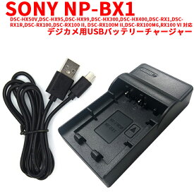 SONY NP-BX1対応互換USB充電器☆デジカメ用USBバッテリーチャージャー☆DSC-RX100【P25Apr15】