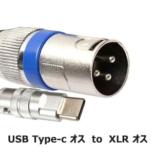 USB C}CN3sXLRP[u2M TYPE-C-XLRR[fBOP[u93dBmCYX^WI XLRoXڑ}CNR[fBORfT[}CN AVAv Xs[J[ ̑̃R[fBO@