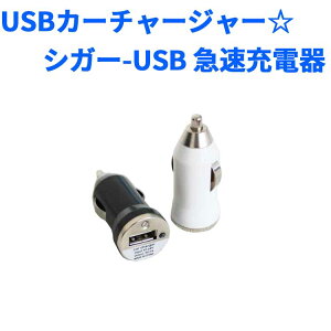 USBJ[`[W[VK[-USB@}[diiphone/X}[gtHΉj2FIׂ