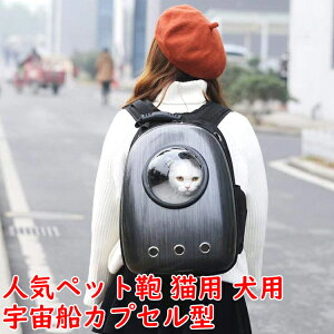 yzybgpL[obO ybgobO FDJvZ^ybgobO Lp p obO bN^ybgL[ lCybg