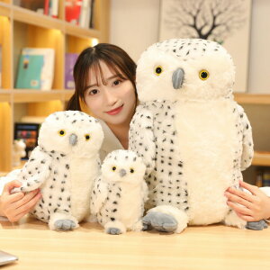�������� 50cm�ʂ������ �����t�N���E barn owl tyto alba �傫�� �������� ���� ���� �ޏ��� �ӂ�ӂ�Ŗ������ �_�炩 �S�n���� ������ �N�b�V���� �C���e���A �q�� �v���[���g �M�t�g