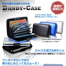 【メール便発送・送料無料】カードの整理や保管に 蛇腹 ダンディケース ジャバラ式 で7ポケット ワンタッチロック式 名刺入れ カードケース 免許証 保険証 生活防水 耐衝撃 TEC-DANDY-C