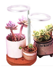 A͔|v  A琬Cg _u 20LEDd×2 ^C}[ ͔| ƒ؉ | k͔| Ǘ CeAdar-marusaibai02