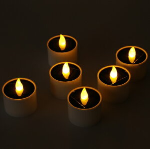 \[[ LED LhCg 6Zbg  Y E\N XC K[f CgAbv  h h el-canlight6s