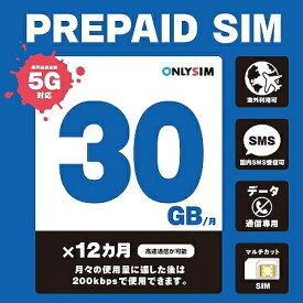 【送料無料】モバイル・プランニング 202306013012 楽天プリペイドSIM 毎月30GB 初月＋12ヶ月 SMS受信可【在庫目安:お取り寄せ】