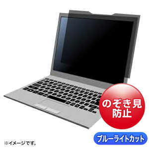 【送料無料】サンワサプライ CRT-MDR4156 マグネット式覗き見防止フィルター(15.6インチワイド対応)【在庫目安:お取り寄せ】