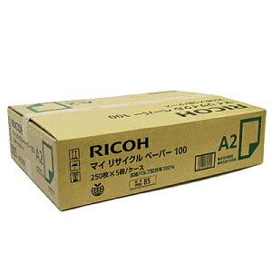 yzR[ 900378 }CTCNy[p[100 A2 T 1P[X(250×5)y݌ɖڈ:񂹁z