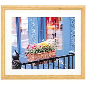 ������� 404931 FUJICOLOR �ؐ��z�� YM-3 ���C�h4�� �ؒn�y�݌ɖڈ�:�����񂹁z