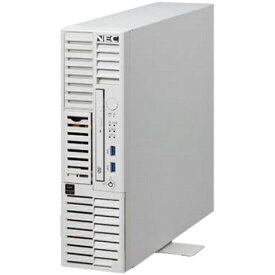 【送料無料】NEC NF8100-281Y iStorage NS100Tk (Pentium Gold G6405/ 8GB/ HDD・2TB/ Windows Server IoT 2022 for Storage Workgroup Edition/ タワー 3年保証)【在庫目安:僅少】| パソコン周辺機器