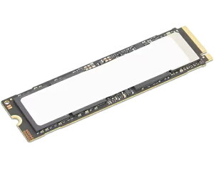 yzm{EWp 4XB1S30116 ThinkStation 4TB Performance PCIe Gen5 NVMe OPAL2.0 M.2 \bhXe[ghCuy݌ɖڈ:񂹁z