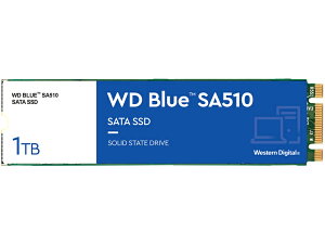 yzWESTERN DIGITAL 0718037-884707 WD Blue SA510 SATAڑ M.2 SSD 1TB 5Nۏ WDS100T3B0By݌ɖڈ:񂹁z