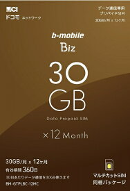 【送料無料】日本通信 BM-GTPLBC-12MC b-mobile Biz SIMパッケージ(DC/ マルチ)【在庫目安:お取り寄せ】