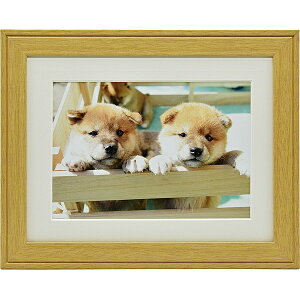  407567 FUJICOLOR ؐz YM-9 Lrl 2L ؒny݌ɖڈ:񂹁z