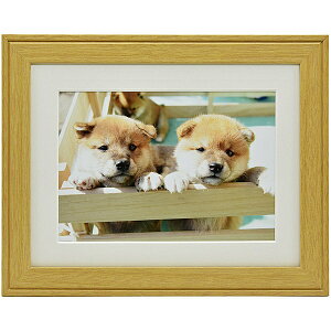 yz 407659 FUJICOLOR ؐz YM-9 A3mr ؒny݌ɖڈ:񂹁z