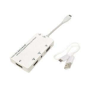 USB-C  HDMI or VGA+3.5mmXeI~j or Displayport ɕϊyz