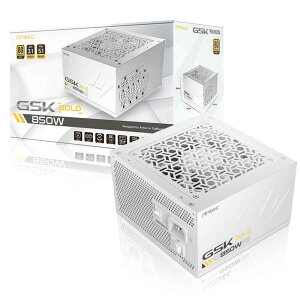 Antec GSK850 ATX3.1 White 80PLUS GOLD F؂擾ϋvdjbg