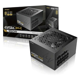 Antec GSK850 ATX3.1 GSK850 ATX3.1́A80PLUS GOLD F؂擾ϋvdjbgłB