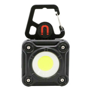 STAR��LIGHT SK-WL1000CHB ���P�x�J���r�i�t�� COB���C�g
