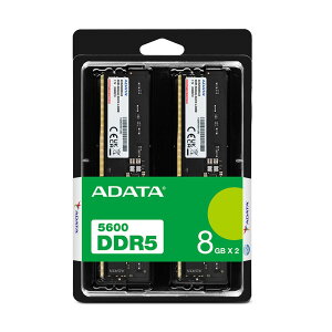 ADATA AD5U56008G-DT-I (8GB 2���g) DDR5-5600 U-DIMM ���������W���[�� 8GB 2��