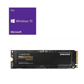 [OS+250GB SSDセット]Windows 10 Pro 64Bit DSP + SAMSUNG 970 EVO Plus MZ-V7S250B/IT バンドルセット