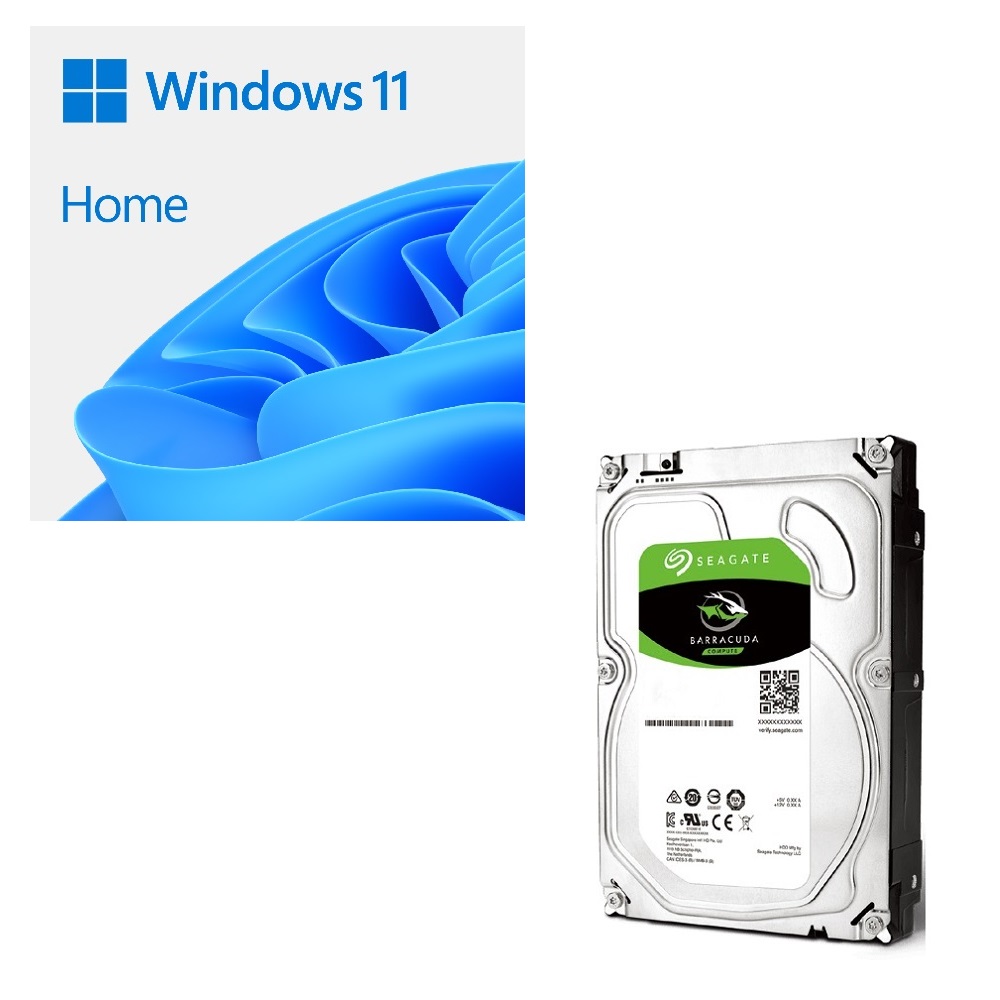 ギフ_包装 Windows 11 Home 64bit DSP + SEAGATE DSP版 バンドルセット ご家庭向けの 特別オファー ST4000DM004 標準的な一般ユーザー