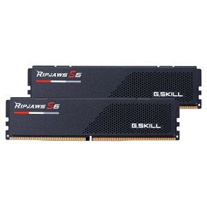 G.SKILL F5-5600J4040C16GX2-RS5K Ripjaws S5 DDR5 PC5-44800 16GB×2 ubN