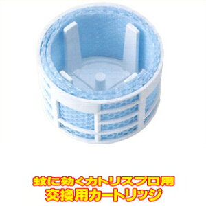 J[gbWyɌJgXvpzi쏜AnG쏜A`EoG쏜jysmtb-Fz