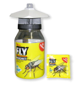 FLY MAGNETitC}OlbgjyĊQUߊlzinG쏜j