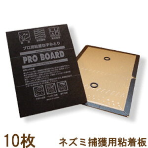 v{[hh10ZbgylY~pSAЂł{HŎgpĂ钴͂ɔSlY~߂zilY~쏜A˂݋쏜ASE͂˂ݔSV[gAlY~ގj