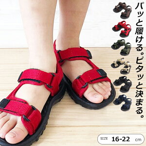 T_ LbY WjA j̎q ̎q 16cm 17cm 18cm 19cm 20cm 21cm 22cm }WbNe[v q r[`T_ C p  x[W J[L bh lCr[ uE ubN AEghA L