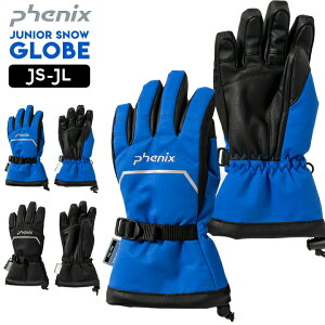 Xm[O[u LbY WjA j̎q JS JM JL  u[ ubN Phenix h z h~[WR[h l[x  XL[ Xm[{[h wZ wZ XL[ O[u tF