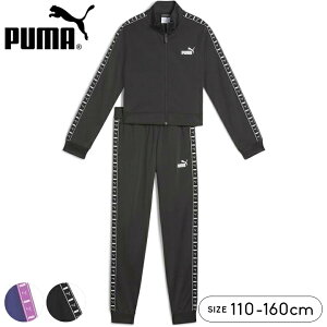 v[} W[W LbY WjA ̎q ㉺Zbg 110cm 120cm 130cm 140cm 150cm 160cm puma  tďH qp WPbg pc w wZ w wZ ^ ̈ X|[cEFA 