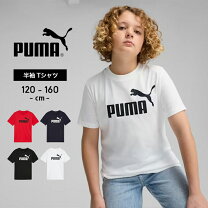 楽天市場】150cm 男の子（ブランドプーマ）（Tシャツ・カットソー 