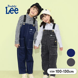 リー つなぎ」の人気商品一覧 | 安い商品を通販サイトから探す - 価格.com