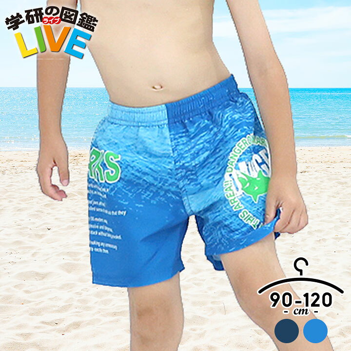 当店在庫してます! 120 TC タウンカントリー 水着 海パン 男の子 男の子 水着 110cm TC