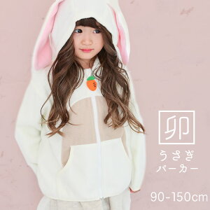 x   p[J[ \ K 2023N 90cm 100cm 110cm 120cm 130cm 140cm 150cm nEB Ȃ肫 t[X WPbg H~ j̎q ̎q LbY RXv  ߑ N 